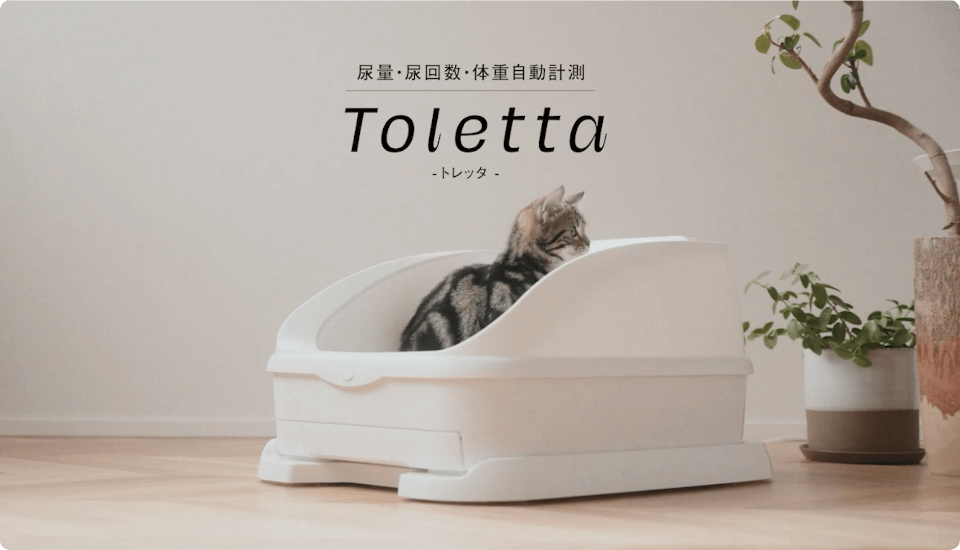 toletta