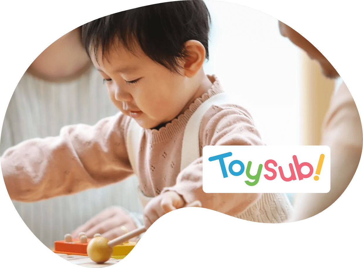 Toysub!